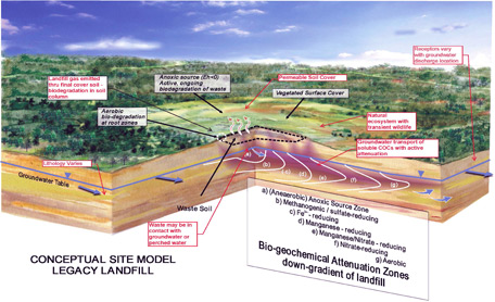 Conceptual Site Model
